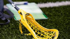 Carousel image 9c30dea0acff379b22bd img 8234