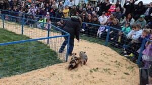 Carousel image a041a9 elaware alley niversity ay