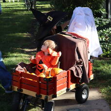 Carousel image a613f8 doylestown halloween celebration
