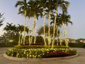 Carousel image a7d9a4d48c9237f7ebb3 img 4162