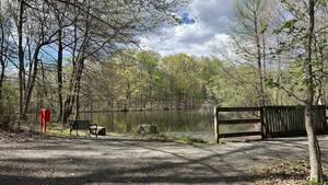 Carousel image aa1e67 rightwood ark ond