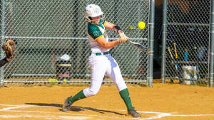 Carousel image ab459d586f9480c186a9 img 0553