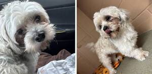 Carousel image b26d1dd0c9b54a5b097f img 7401