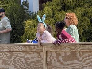 Carousel image b48f61172aba42d4c073 img 0202