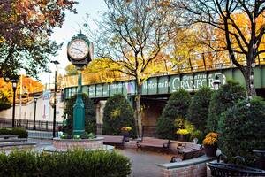 Carousel image b83fd9bfd92d6be6bbe9 image2