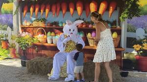 Carousel image bc42e1f2a5b1297df8a5 img 5291