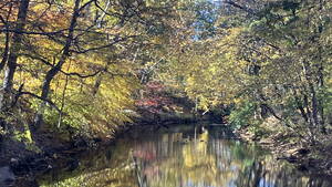 Carousel image bd3310a8e7bd76a282a2 img 6573 2