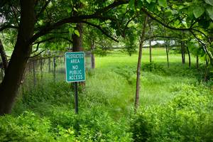 Carousel image c2ffa0f3b8a687cb658a img 1603