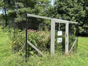Carousel image cc6123 rightwood ark native plants