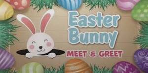 Carousel image cf4769f5f44177923de3 img 9074