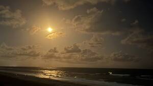 Carousel image cfa0e8d96a5bba123f69 img 5461