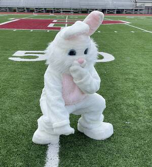 Carousel image clone 1576476 a8cb75ab6dffec39bfd2 img 2747