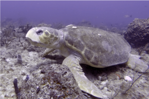 Carousel image clone 1663403 d895db63886f677cf2c4 image111425at1205pm