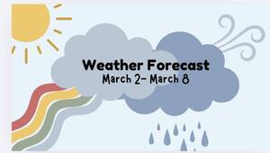 Carousel image clone 1707213 642c3e5a35a8c7e9a173 img 9585