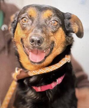 Carousel image clone 1709364 2821fddd5c3770bcd0bb img 2795