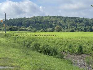 Carousel image clone 1710391 127f5aa9a43b8a5549fe img 7039