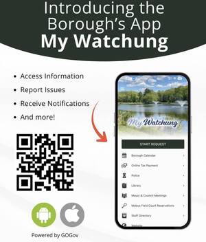 Carousel image clone 1710500 968d7ba59310093b4151 img 4107