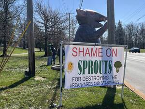 Carousel image clone 1716514 5166baaff4af485e1c6b img 9901