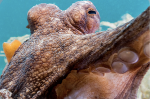 Carousel image clone 1717953 d80735558df6082b2499 image32726at209pm