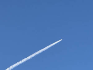 Carousel image clone 1719924 33c7a0275ffb953401e1 img 5254