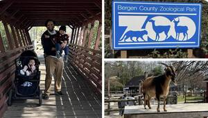 Carousel image clone 1722827 c51d44a2014ced7ccb91 img 9235