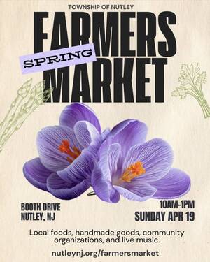 Carousel image clone 1724076 c0ea7bf52f076fd41ad7 img 9466