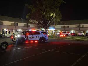 Carousel image clone 1725456 e137620b287babb4b179 img 7157