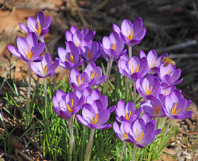 Carousel image d275592c8f23f188a8da img 6337