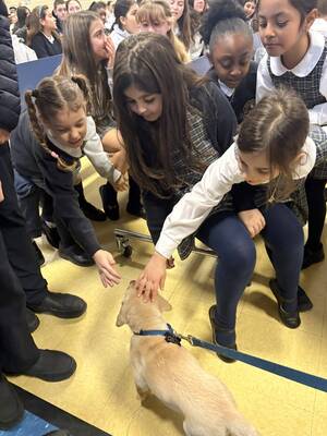 Carousel image d2f563671b70c643b9ef img 2673