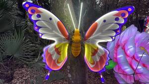 Carousel image d3455ecb49f372a1d149 img 5140