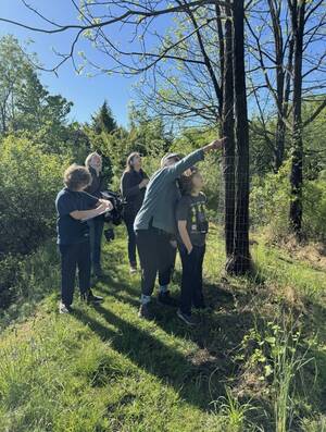 Carousel image d802e7085d9f712491cd img 9875