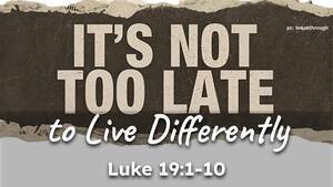 Carousel image dfae046cc19ec66e957b img 7660