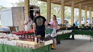 Carousel image e35c99 revard ounty armers arket in elbourne lorida