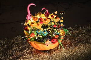 Carousel image e5328a pumpkinfest tileworks doylestown