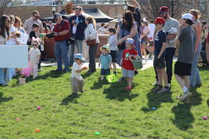 Carousel image ed2849 oylestown orough aster gg unt