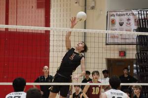 Carousel image ee276b5dd528a4fc095a img 8284