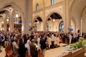 Carousel image f1614e63ce3d4600072b image013