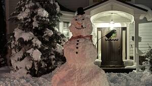 Carousel image f6d5b8 estfield snowman