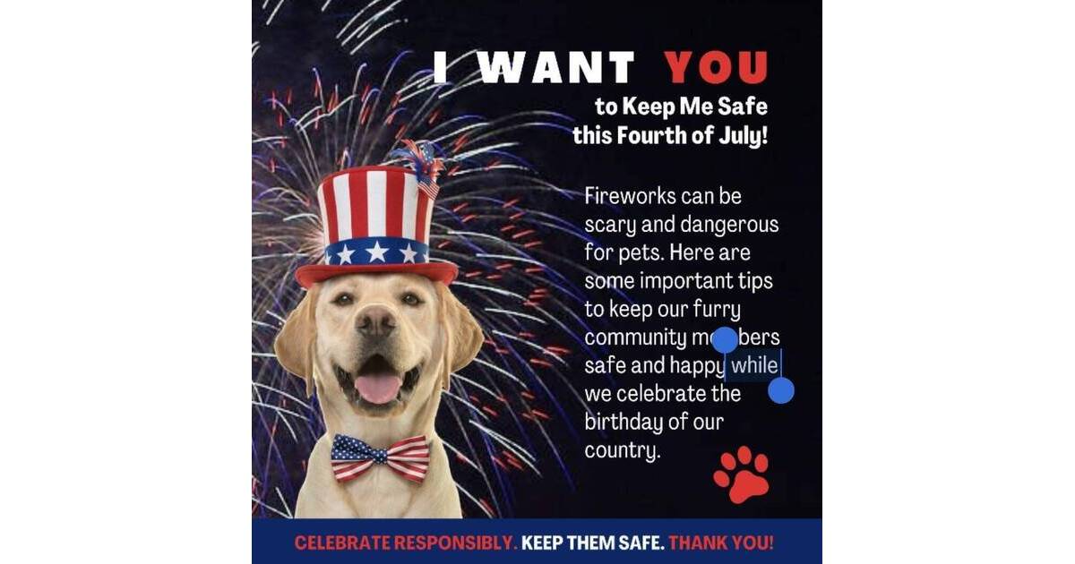 Keep Pets Safe During Fireworks: Tips for a Stress-Free Holiday