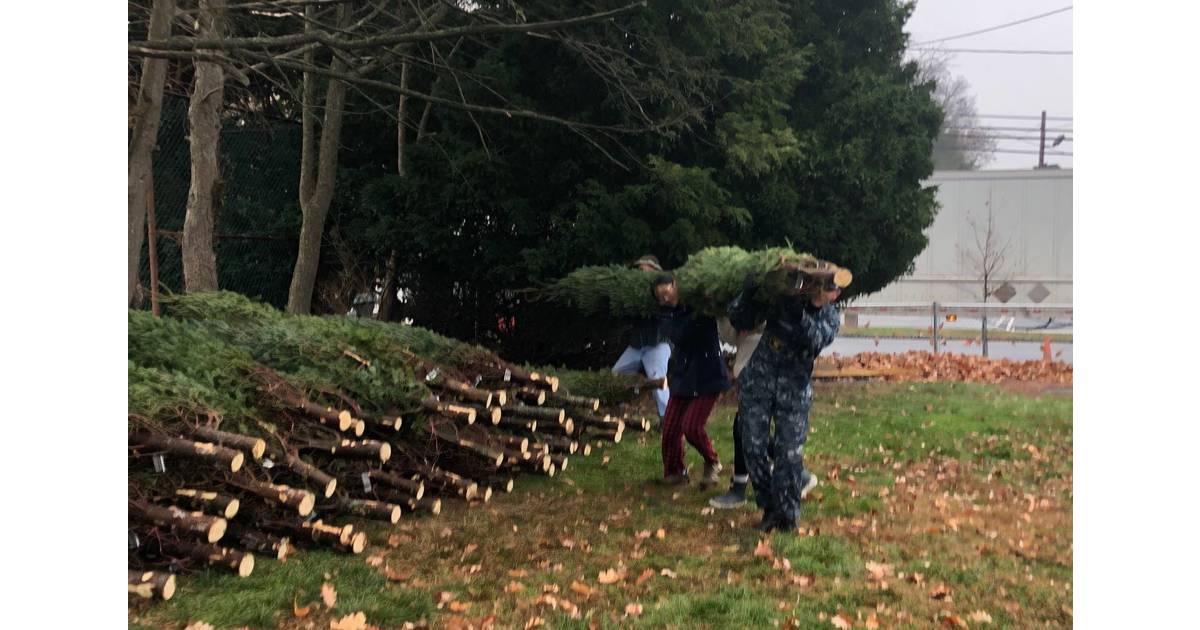 Westfield Area Y’s Men’s Club Annual Christmas Tree Sale is Happening