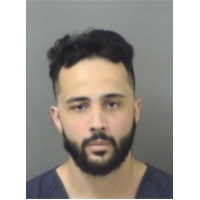West Boca Raton Man Arrested For Shooting Duck Behind School During ...