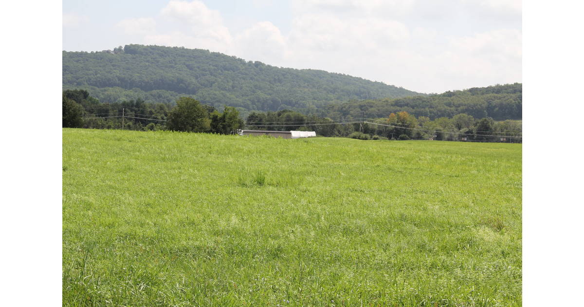 Update on Sparta Landfill Closure Solar Installation Project Sparta, NJ News TAPinto