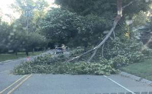 Carousel_image_8e226f8a34257b4a96fd_isaisascrossrd8.5