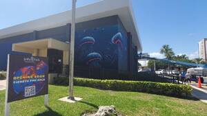 Carousel image clone 1710298 b9a284e4e3327cd4ce4c jellyfishmuseumexteriorpaintingmarch2025