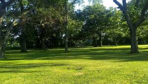 Carousel image a068c9c7511053f7062d johnson park