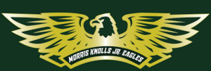 Carousel image e93de90df6cbffe79f4c jr eagles