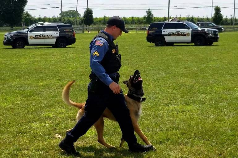 Roxbury S Mcmahon And K 9 Kai Win America S Top Dog Tapinto