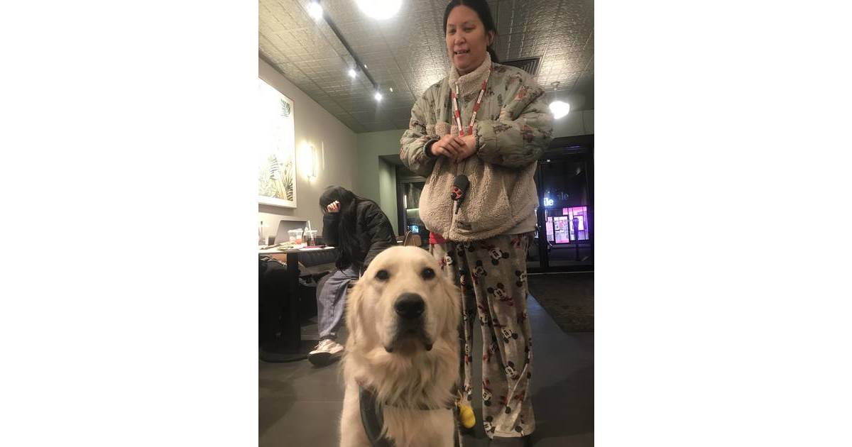 Westfield Recap Mindowaskin Crash Service Dogs Historic Nominations