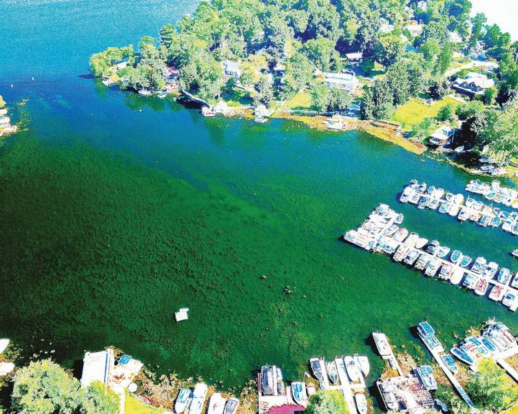 Lake Mahopac Weed Problem Worst in Two Decades TAPinto