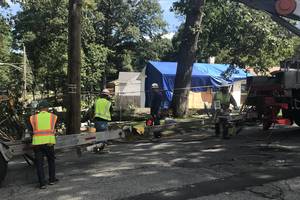 Carousel_image_7413490d2fe733f12805_landingtree1